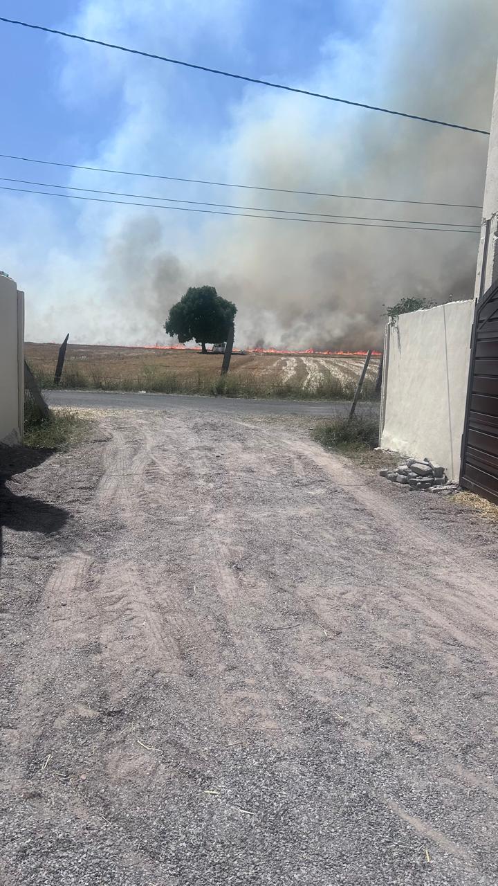 A neighbouring wheat field on fire near Kota Natural Farm