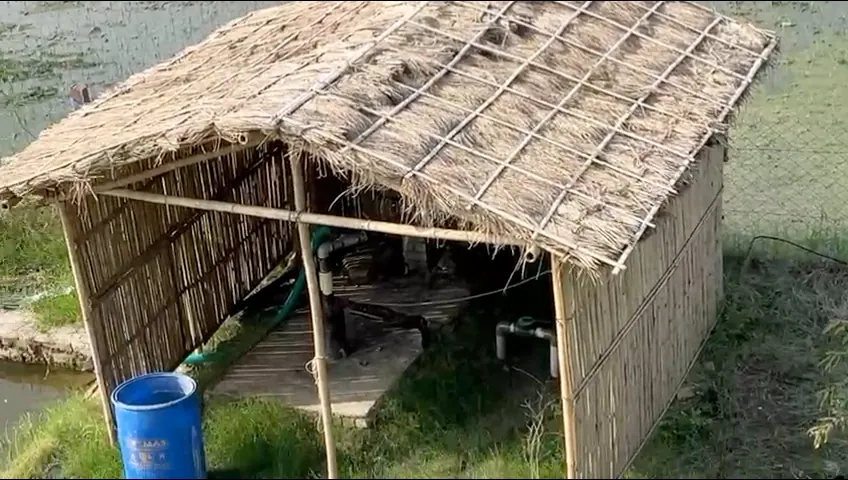The bamboo-and-thatch hut housing the tubewell, with the pond visible just behind it