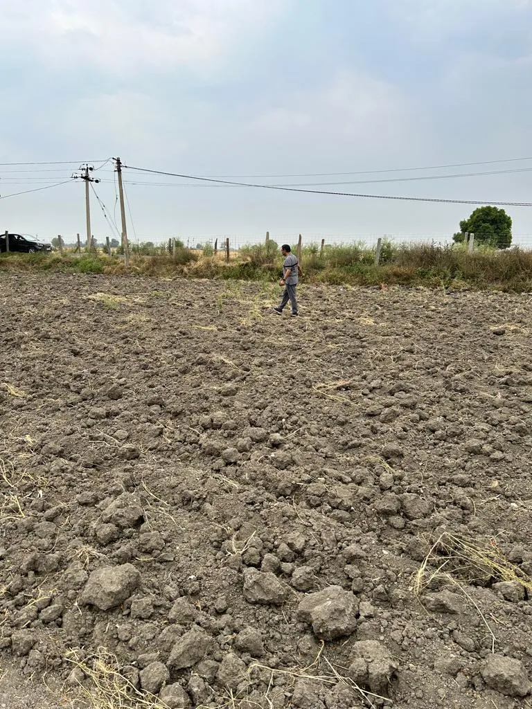 The field in March 2024: bare, freshly ploughed ground with large hard clods of pale clay