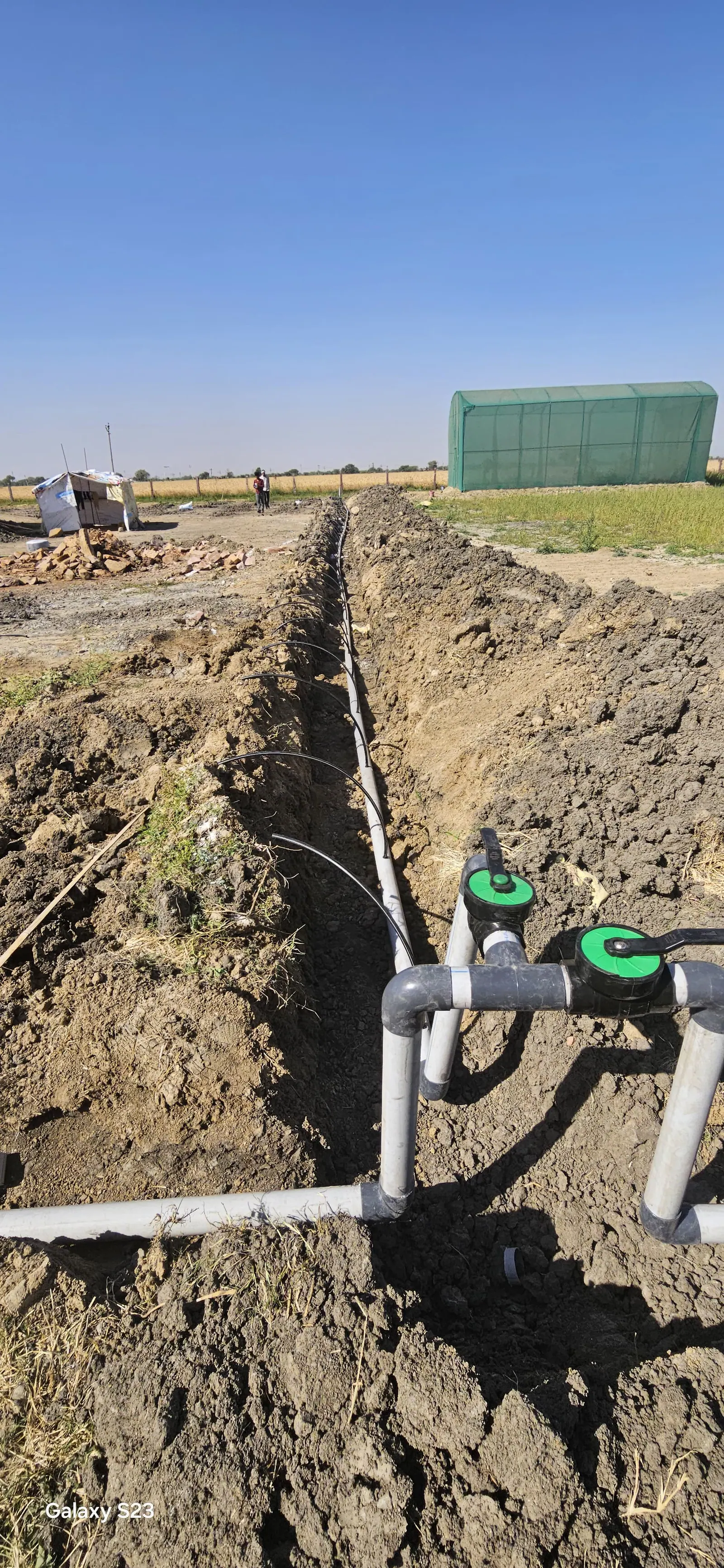 Drip irrigation pipeline being installed at Kota Natural Farm