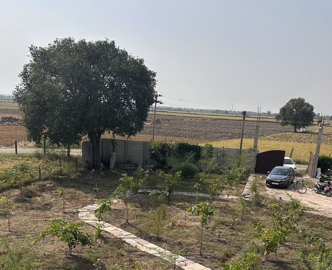 Aerial view of Kota Natural Farm